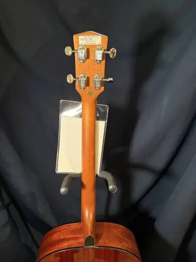 Gold Tone - TG-10 W/BAG 2